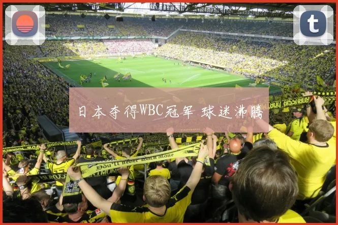 日本夺得WBC冠军 球迷沸腾