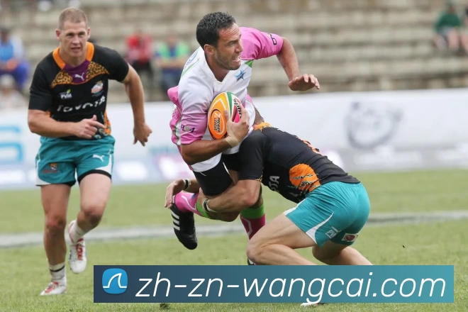 旺财28品牌故事