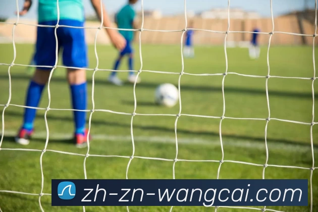 旺财28服务体系